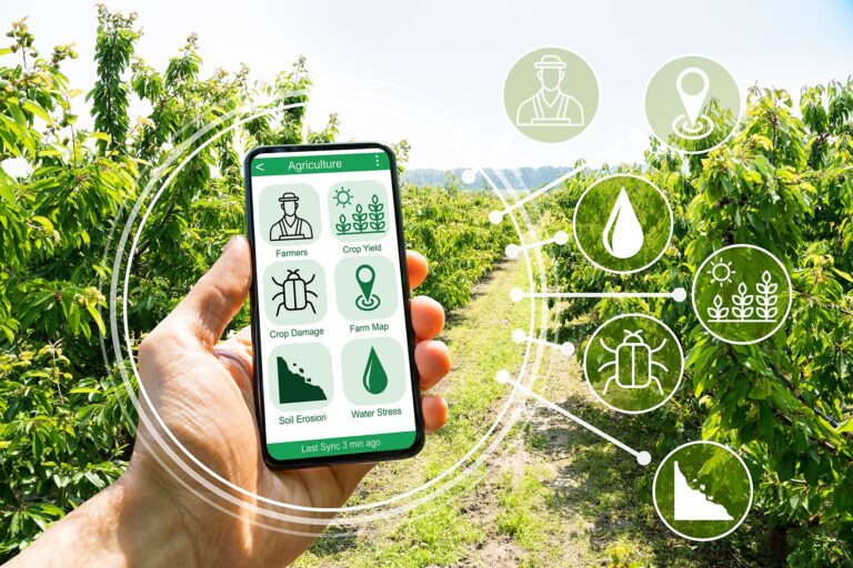 L’Intelligenza Artificiale rivoluziona l’agricoltura italiana: un mercato da 2,5 miliardi Agricoltura tecnologica